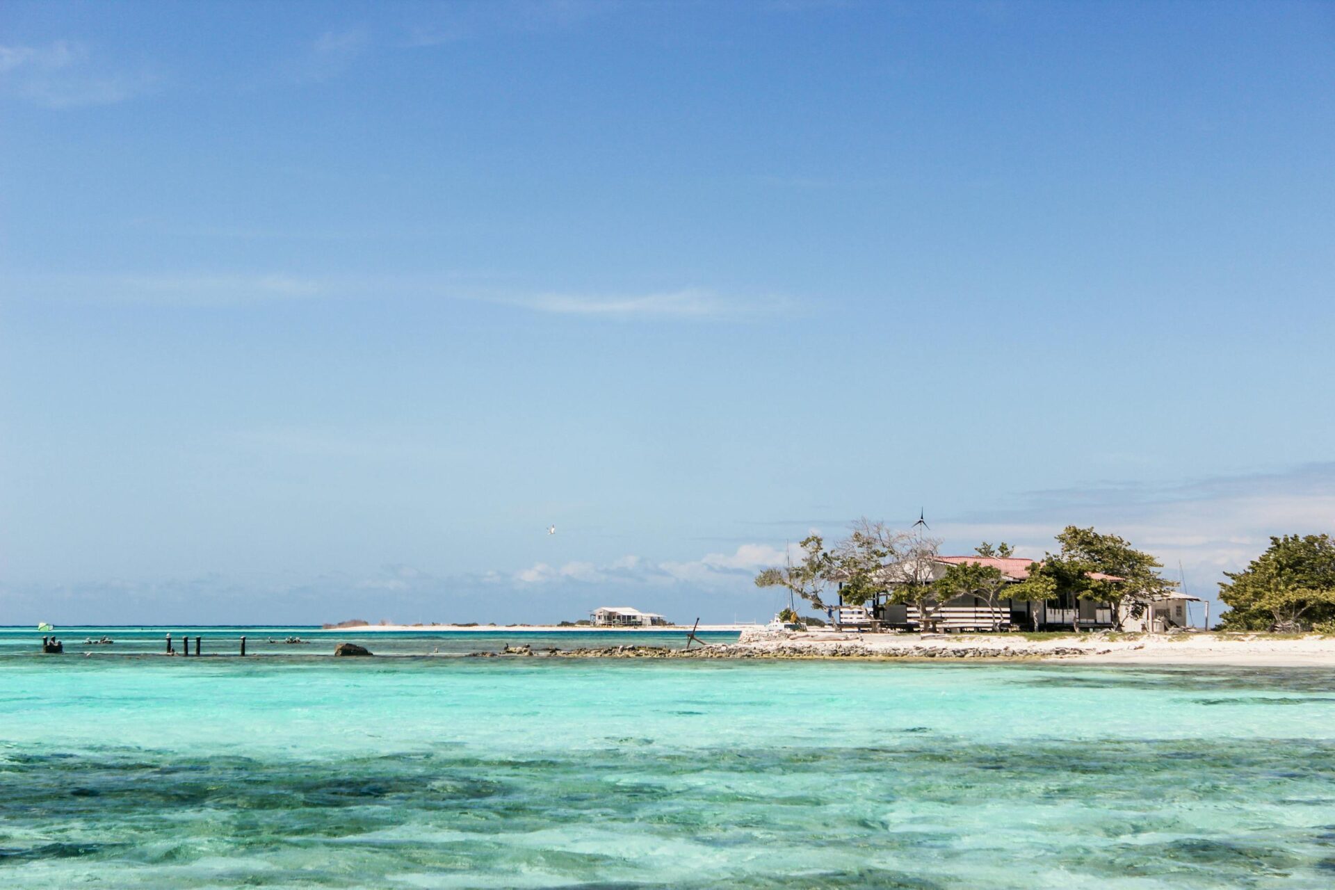 Capture of a serene tropical beach in Los Roques, Venezuela, showcasing turquoise waters and clear blue sky.