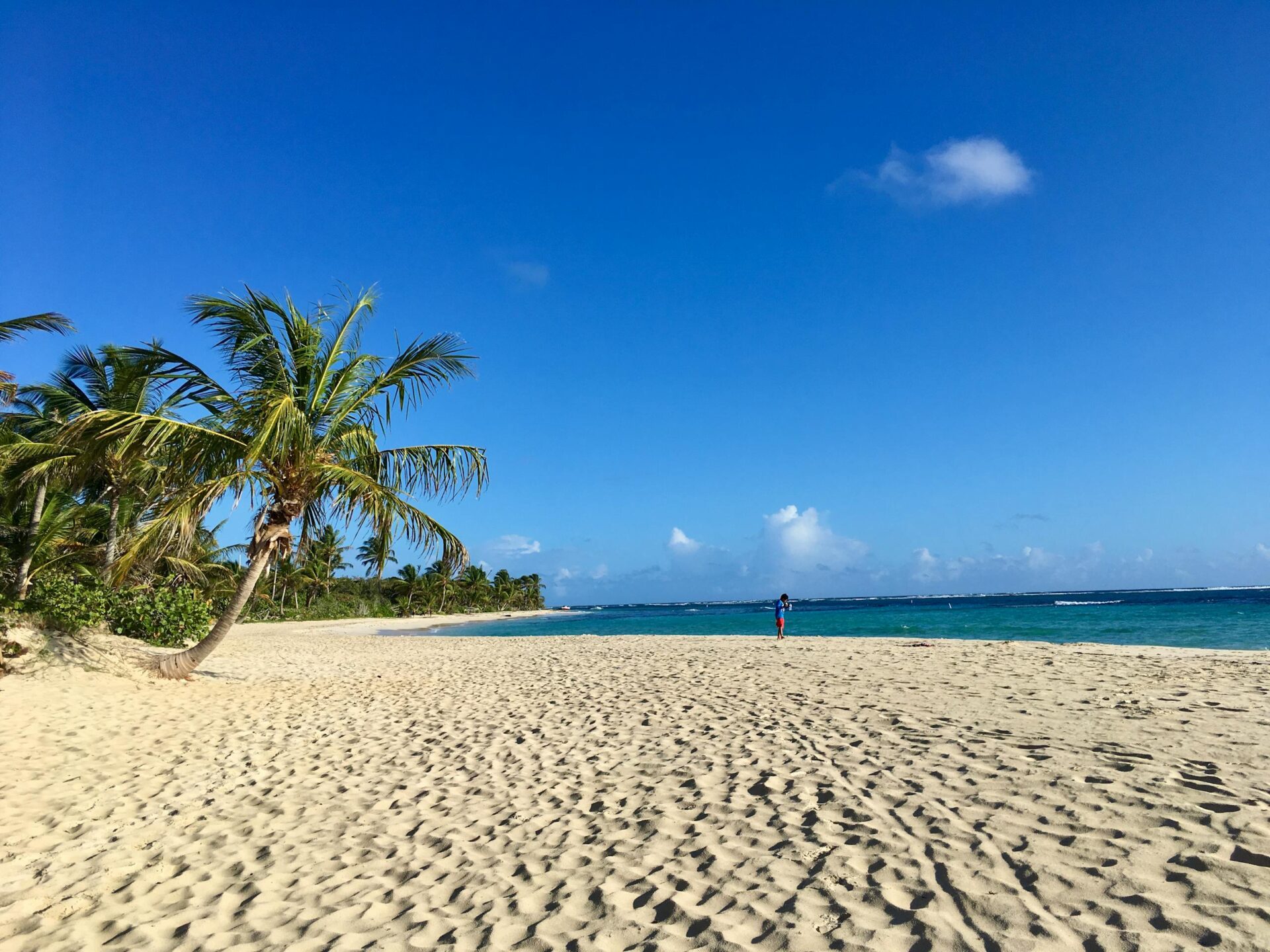 Experience the serene beauty of Culebra's sandy shores under a clear blue sky in Puerto Rico.