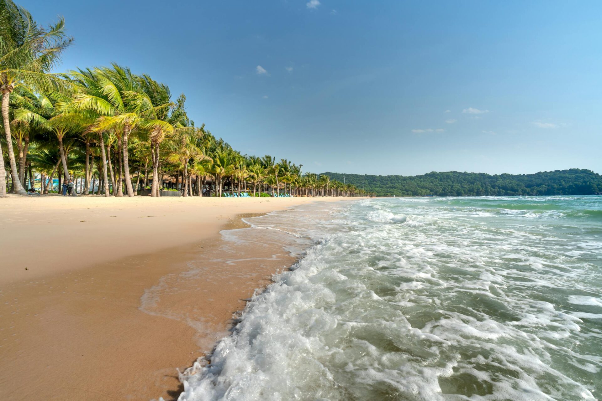 Lush tropical beach with palm trees and gentle ocean waves under a bright sky.