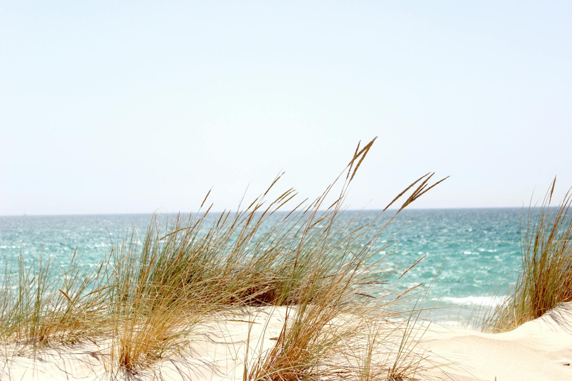Tranquil beach view in Tarifa, Spain, featuring sand dunes and the vibrant ocean under a clear sky.