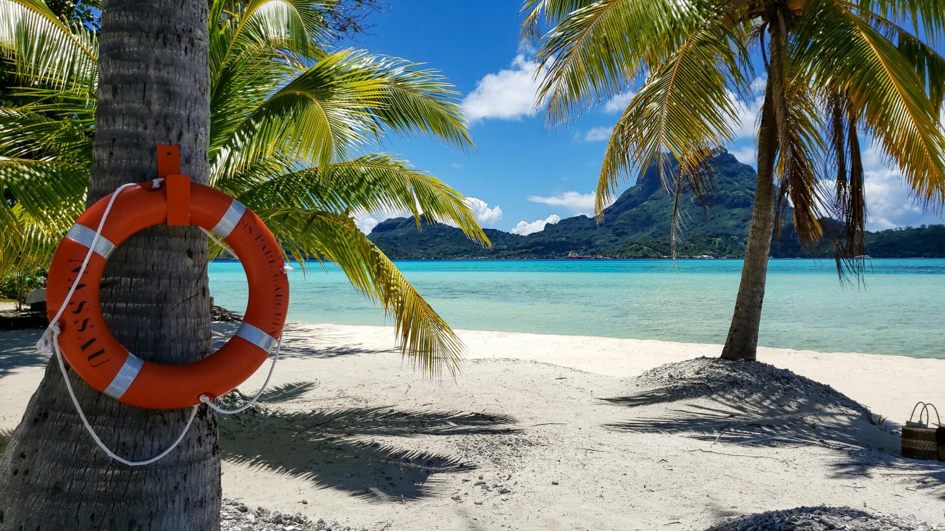 Tropical paradise with palm trees, turquoise water, and a life preserver on a beach.
